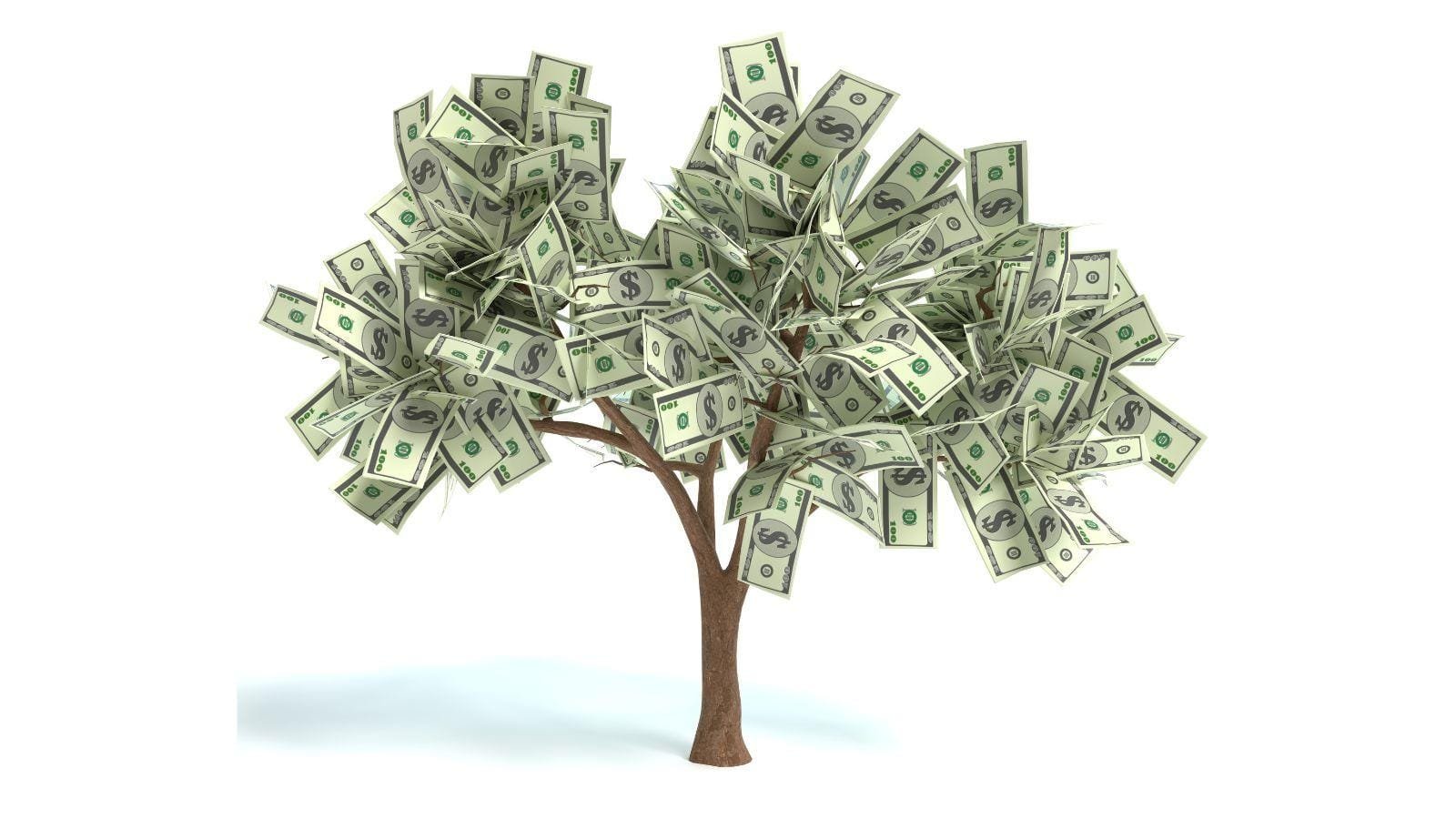 JMBricklayer JMB-The Money Tree-02
