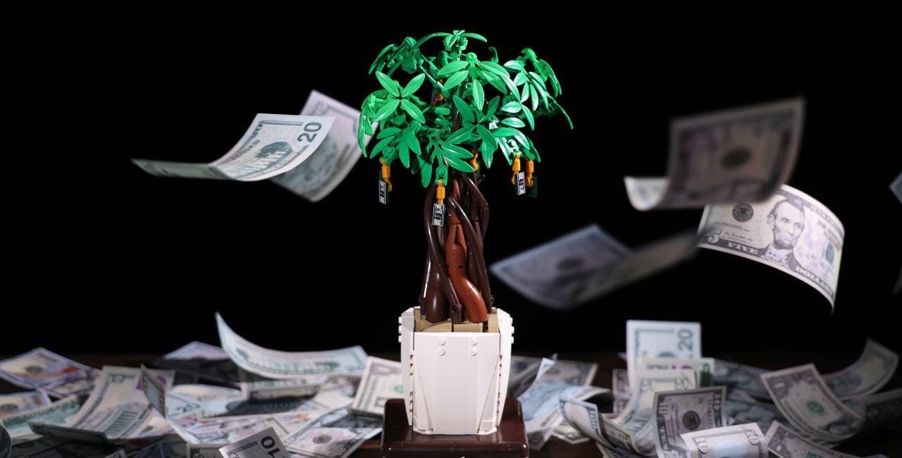 JMBricklayer JMB-The Money Tree-Featured Image