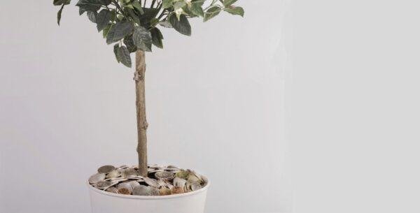 JMBricklayer JMB-The Money Tree Tale-Featured Image