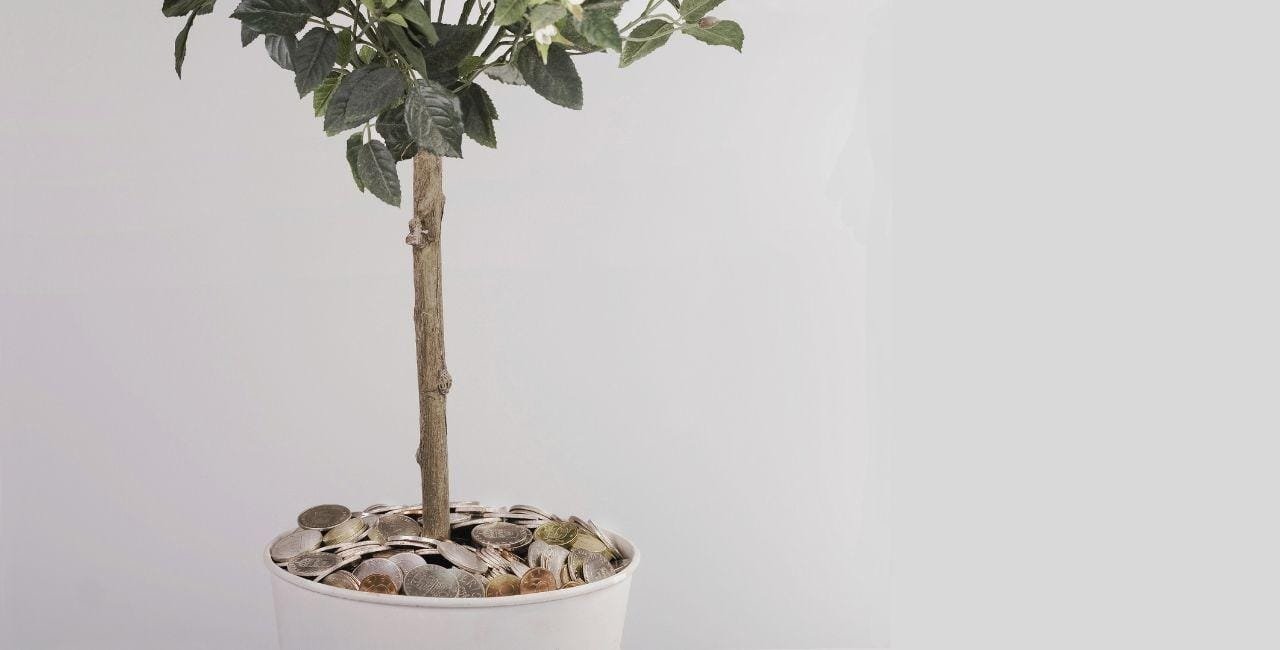 JMBricklayer JMB-The Money Tree Tale-Featured Image