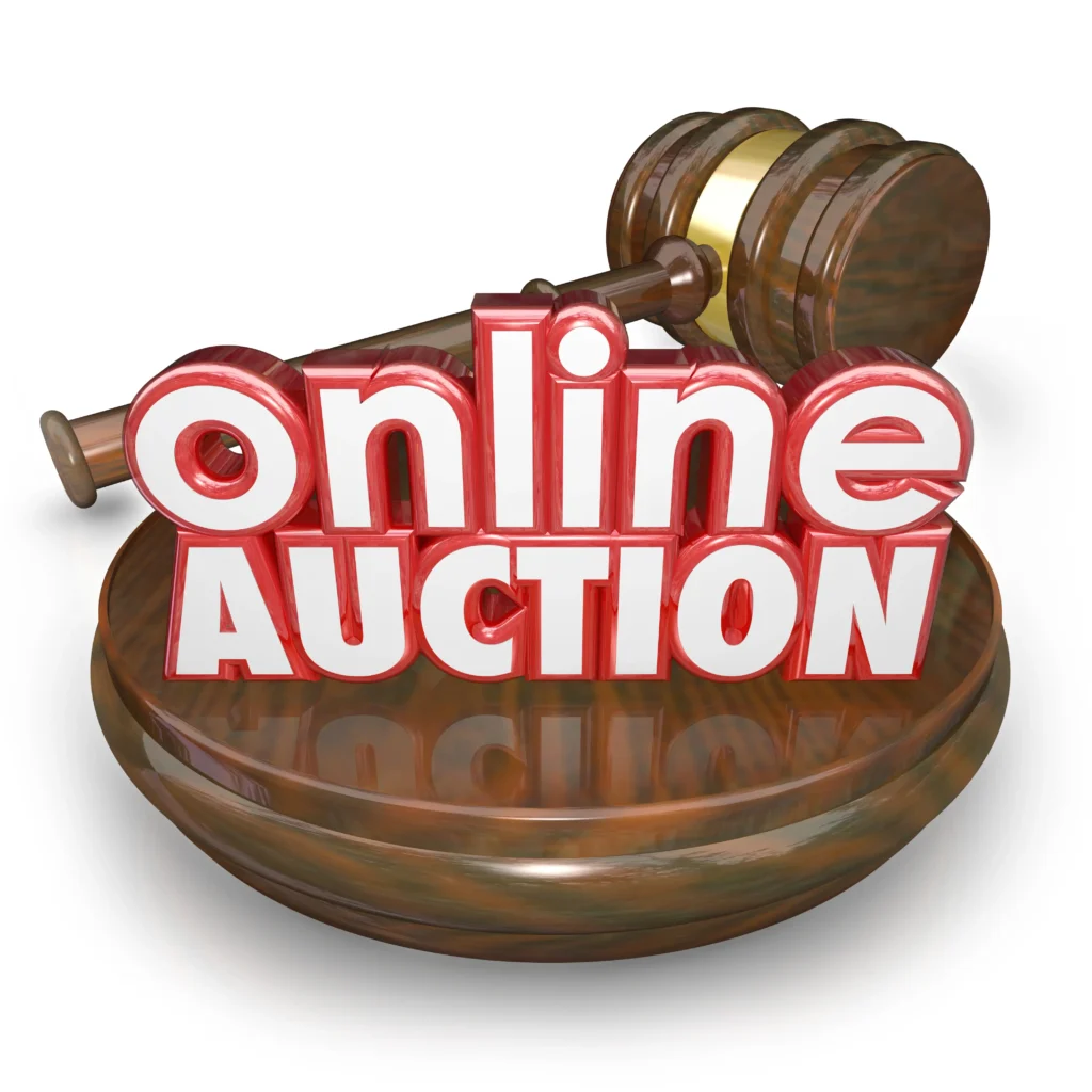 Online Auction Platforms
