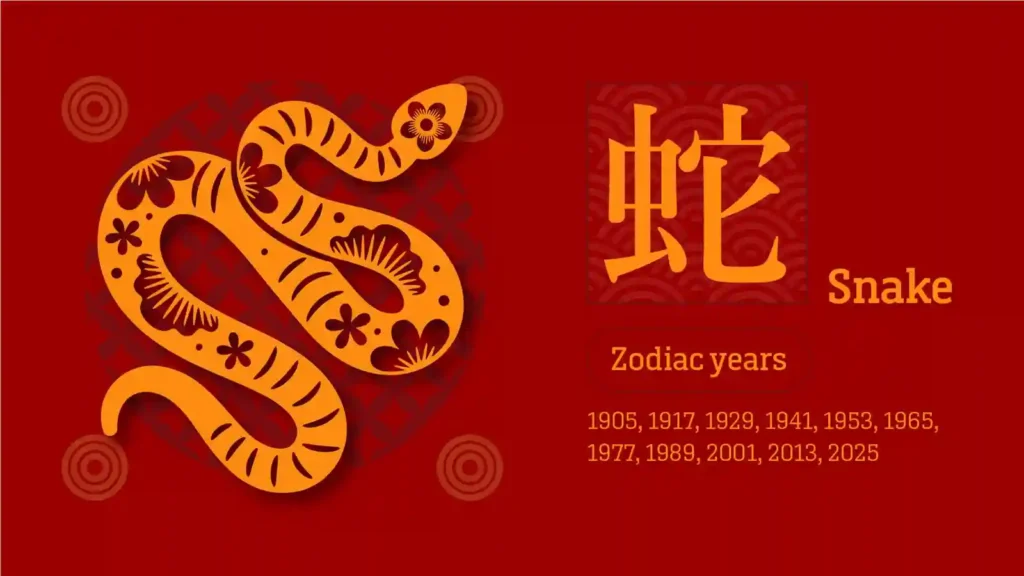 What Does The Snake Mean in Chinese Zodiac